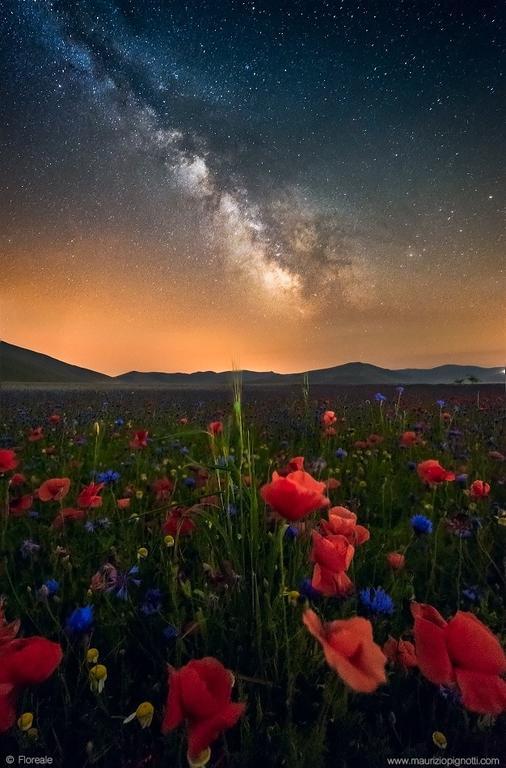 Hotel Europa 노르시아 외부 사진